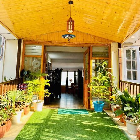 Sai Cottage Shimla Exterior photo